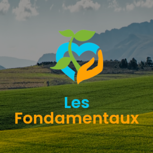 LES FONDAMENTAUX